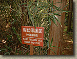 Japan-Zushi-16APR04-10.JPG (108224 bytes)