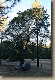 Laguna Mountains Camping in Sept 2007