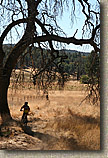 Laguna Mountains Camping in Sept 2007