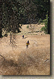 Laguna Mountains Camping in Sept 2007