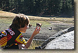 Laguna Mountains Camping in Sept 2007