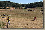 Laguna Mountains Camping in Sept 2007