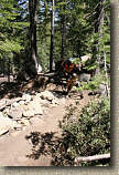 images/Trails/LakeTahoe/Tahoe-08JUL05-ChristmasValley-07.jpg