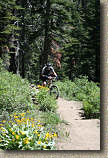 images/Trails/LakeTahoe/Tahoe-08JUL05-ChristmasValley-22.jpg