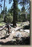 images/Trails/LakeTahoe/Tahoe-08JUL05-DHFromDriscollLake-02.jpg