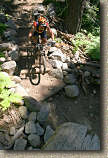 images/Trails/LakeTahoe/Tahoe-08JUL05-DHFromDriscollLake-04.jpg