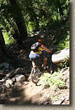 images/Trails/LakeTahoe/Tahoe-08JUL05-DHFromDriscollLake-06.jpg