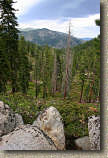 images/Trails/LakeTahoe/Tahoe-09JUL05-TRT-SpoonerToDiamondPk-14.jpg