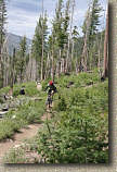 images/Trails/LakeTahoe/Tahoe-09JUL05-TRT-SpoonerToDiamondPk-19.jpg