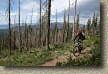 images/Trails/LakeTahoe/Tahoe-09JUL05-TRT-SpoonerToDiamondPk-20.jpg