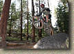 images/Trails/LakeTahoe/Tahoe-9JUL05-ChineseDH-JFR.jpg