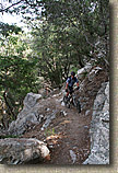 Mount Lowe to JPL Trails