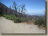 Mount Lowe to JPL Trails