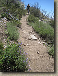 Mount Lowe to JPL Trails