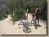 Mount Lowe to JPL Trails