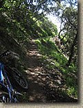 Mount Lowe to JPL Trails