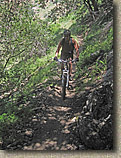 Mount Lowe to JPL Trails