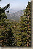 Mt Pinos Trails