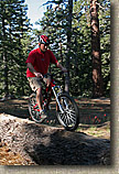 Mt Pinos Trails