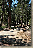 Mt Pinos Trails