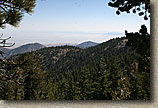 Mt Pinos Trails