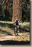 Mt Pinos Trails