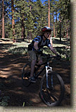 Mt Pinos Trails