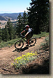 Mt Pinos Trails