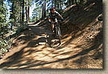 Mt Pinos Trails