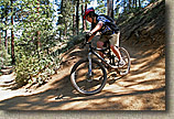 Mt Pinos Trails