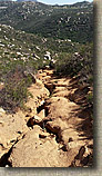 Warren Canyon Trail