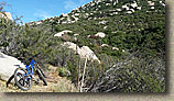 Warren Canyon Trail