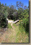 Warren Canyon Trail