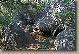 Warren Canyon Trail