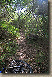 Warren Canyon Trail