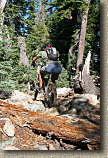 images/Trails/Norcal07/Norcal07-Downieville-21JUL07-41.jpg