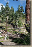 images/Trails/Norcal07/Norcal07-Tahoe-18JUL07-47.jpg