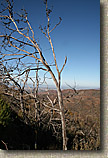 The Otay Mountain Loop