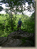 Wissahickon Trail System