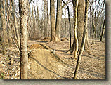 Wissahickon Trail System