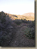 Palm Canyon Pinyon Flats Loop