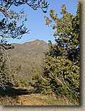 Palm Canyon Pinyon Flats Loop