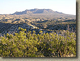 Palm Canyon Pinyon Flats Loop