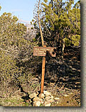 Palm Canyon Pinyon Flats Loop