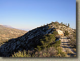 Palm Canyon Pinyon Flats Loop