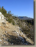 Palm Canyon Pinyon Flats Loop