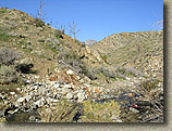 Palm Canyon Pinyon Flats Loop