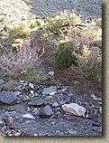 Palm Canyon Pinyon Flats Loop