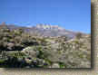 PalmSpringsGoatTrails-15JAN05-ClaraBurgess-06.JPG (137207 bytes)