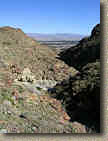 PalmSpringsGoatTrails-15JAN05-McManusTrail.JPG (148840 bytes)